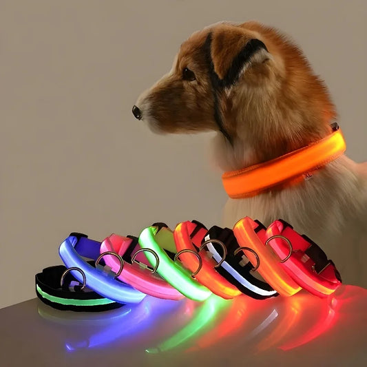 Dog Collar Nylon LED Night Safety Flashing Glow In The Dark Pet Dog Leash  Dogs Ultra-bright
 dog accessories